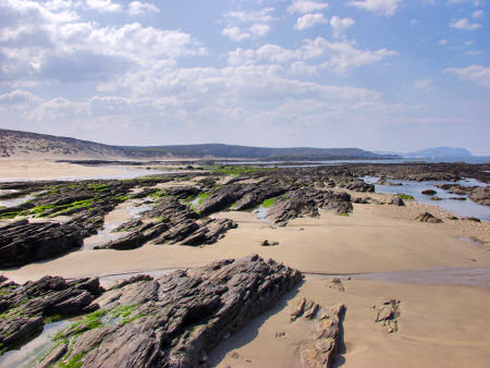 Picture of rocks on a beach, sheltered by dunes