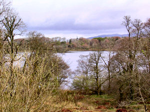 Picture of a loch (lake) surrounded by trees