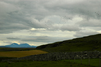 Picture of a rolling landscape with mountains in the distance in the fading evening light