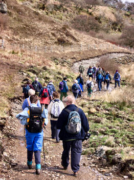 Picture of a group of walkers along a winding path
