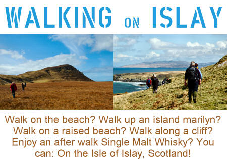 Picture of the design for the 'Walking on Islay' t-shirt