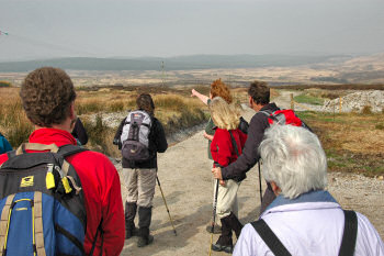 Picture of a walk leader pointing into the distance, walkers looking into the direction