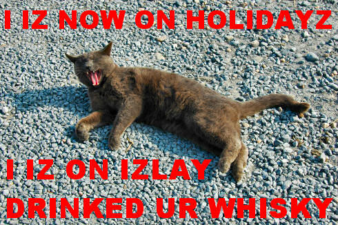 Picture of a LOLcat with a message that 'I IZ NOW ON HOLIDAYZ'