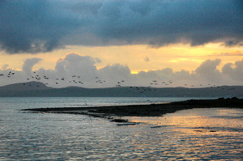 Picture of a view over a coastal wetland, hills with the sun setting behind in the background. Birds flying in for the evening