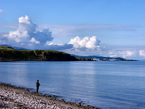 Picture of an angler standing on the beach of a calm bay under a summer evening sky