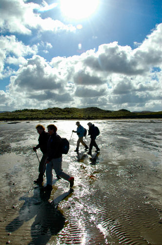 Picture of a group of walkers on a beach against the bright sunlight