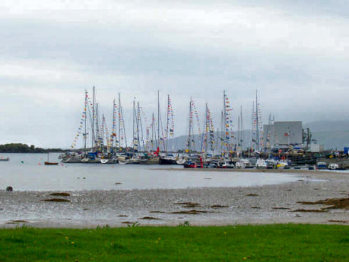 Picture of yachts with many colourful flags at a small marina