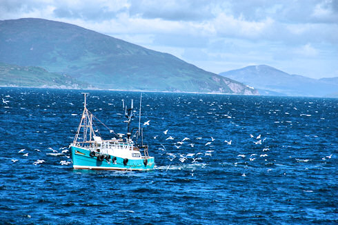 Picture of a fishing boat out on sea, birds flying around it, the shore of an island visible in the background
