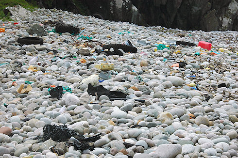 Picture of a pebble beach full of rubbish