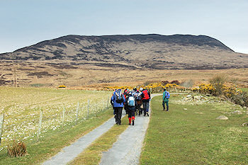 Picture of a group of walkers walking towards a larger hill