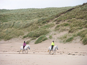 Picture of two riders below dunes on a beach