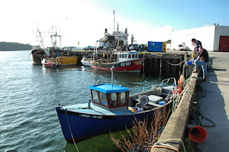 Picture of the fish quay in a small harbour on a sunny day