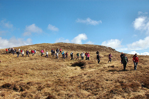 Picture of a large group of walkers stretched out across a hillside