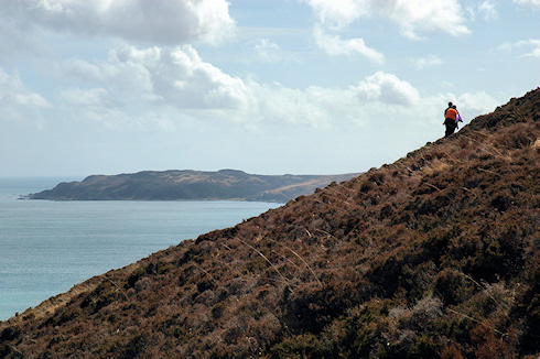 Picture of walkers on a steep hillside, a bay behind the crest of the hill