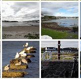 Screenshot of 4 Islay picture thumbnails
