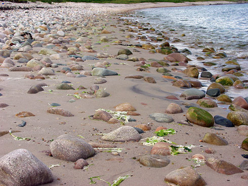 Picture of stones on a rocky beach, the beach bending away in the distance