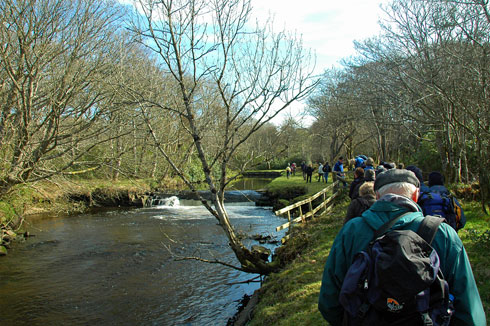 Picture of walkers along a small river flowing through woodlands