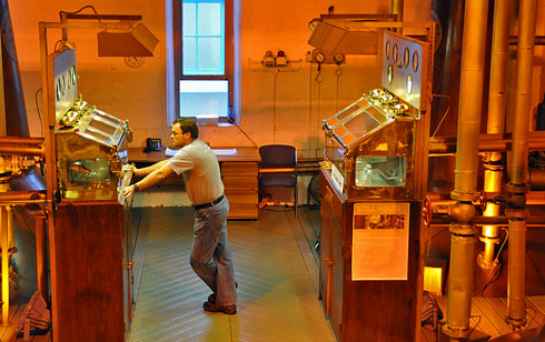 Picture of two spirit saves in the still house of Bruichladdich distillery