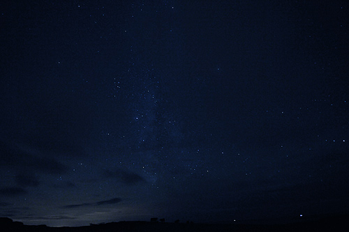 Picture of a night sky over a field with cattle