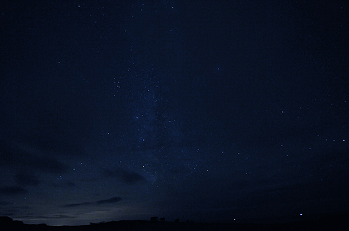 The night sky over a field at Kilchoman, cattle in the field Picture of a night sky over a field with cattle