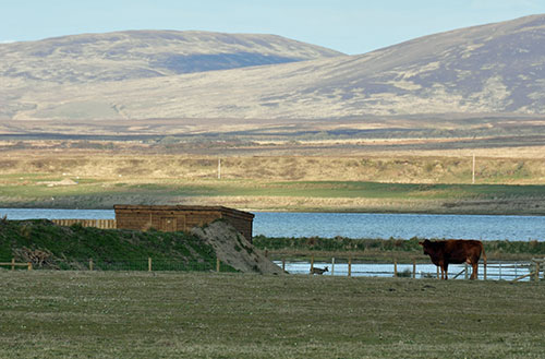 Picture of a bird hide seen from the distance