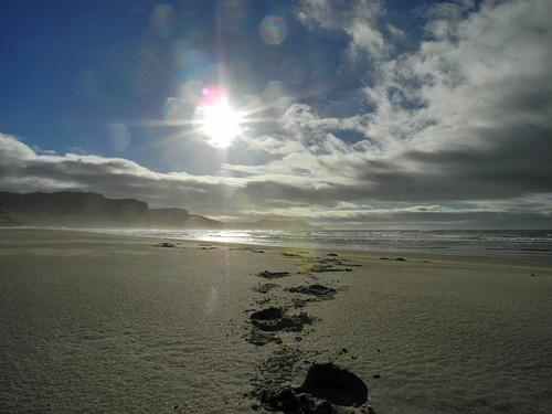 Picture of a sunny morning in a bay with a sandy beach