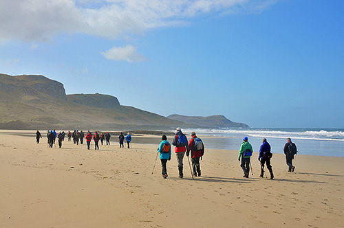Picture of a large group of walkers on a beach
