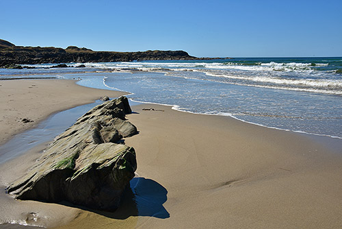 Picture of a beach at low tide