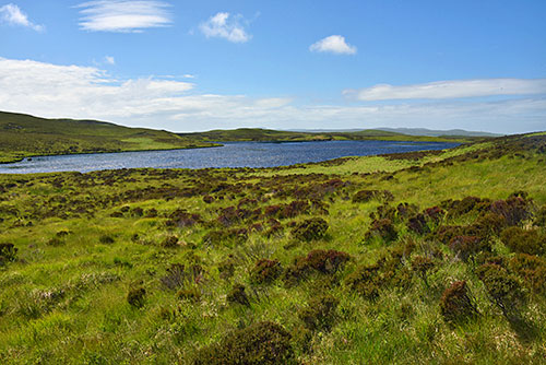 Picture of a freshwater loch in a green landscape
